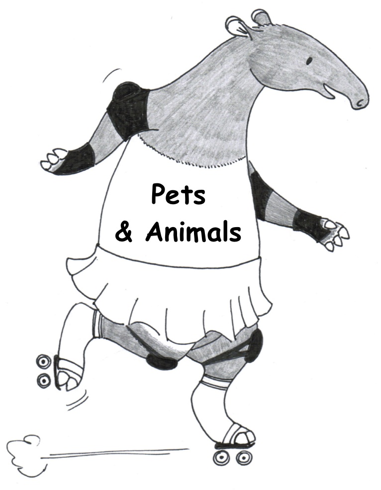 PETS & ANIMALS WRITING CLASSES FOR KIDS